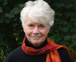 Webinar: Brainstem Reactivity in Developmental Trauma