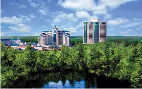 Conference Registration