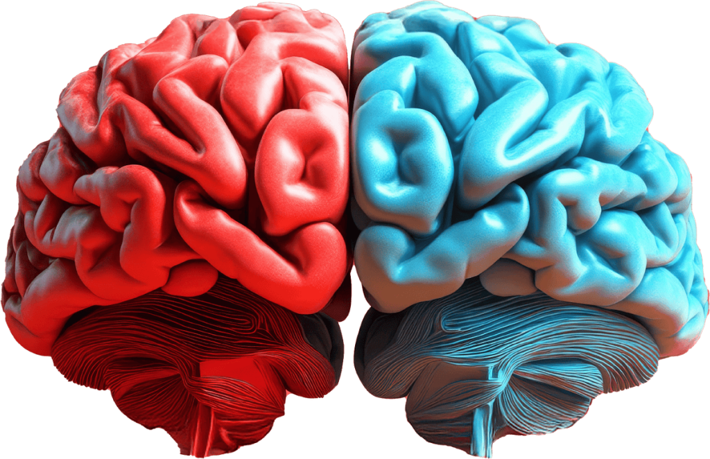 ISNR and AAPB CPT Donation Initiative brain representation